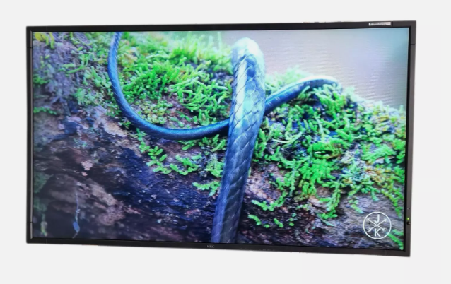 Pantalla de Señalización Digital NEC Multisync UN552V de 55"