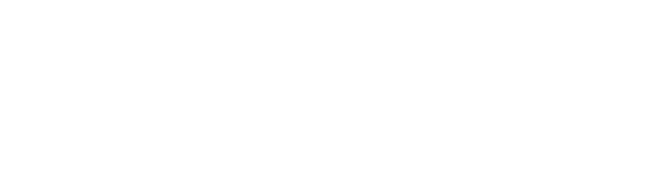 Wisetek Market EU